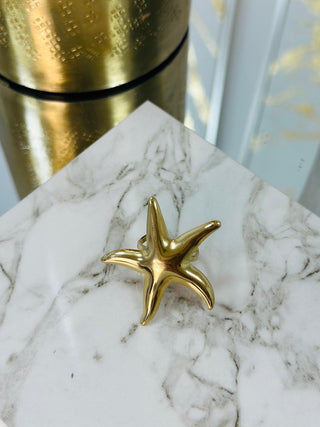 Anillo estrella de mar_79571.jpg