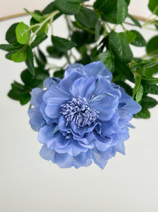 Broche Rouse_59356.jpg